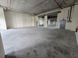 Stellar@tampines (D18), Factory #559695001